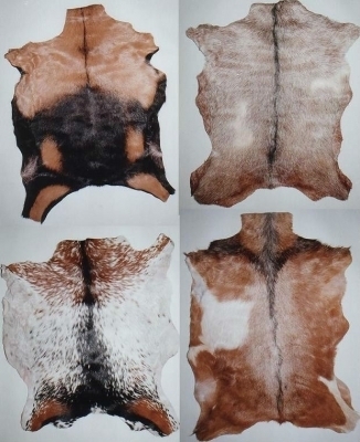 Goat Skin with hair in different colors